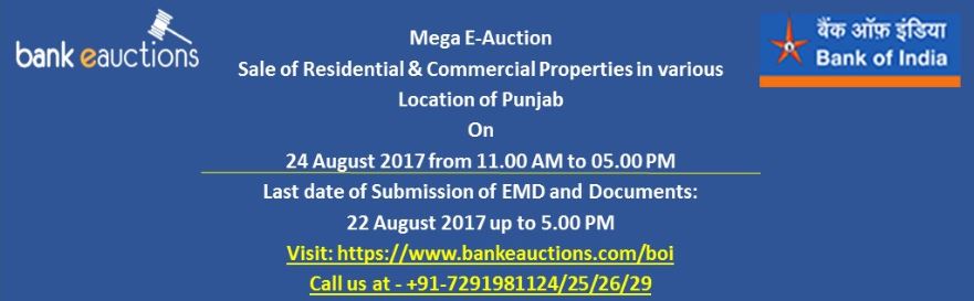 Mega Auction